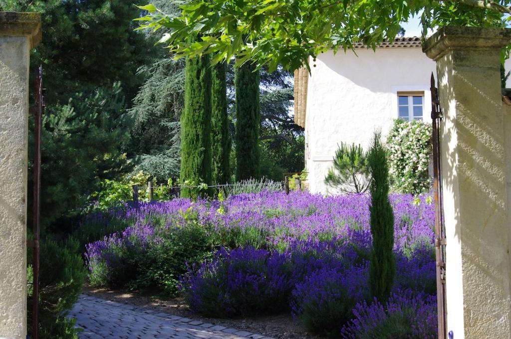 On Dirait Le Sud Apartment Andrezieux-Boutheon Bagian luar foto